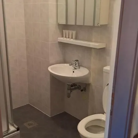 فندق مبيت وإفطار Gostilna